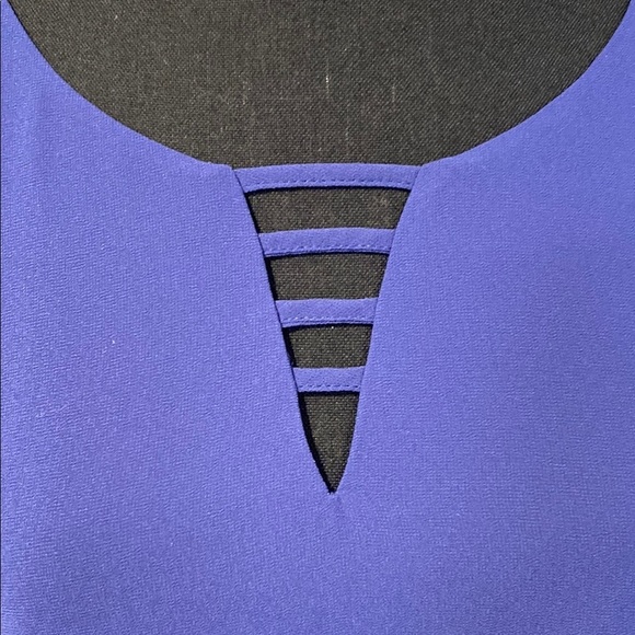 Naked Zebra Dress Mini Spaghetti Straps Deep V Front and Back Royal Blue Small - Picture 4 of 10